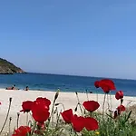 Rising Sun 招待所