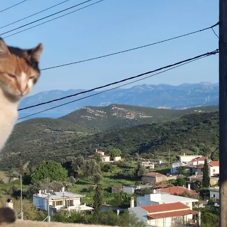 Rising Sun Πανσιόν
